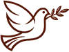 paz-2.webp